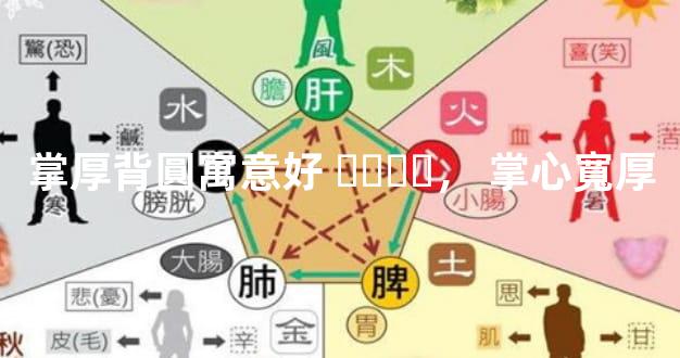 掌厚背圓寓意好， 掌心寬厚